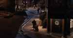 ������: ����� ������ ���� / Hachiko: A Dog's Story DVDRip (2009)