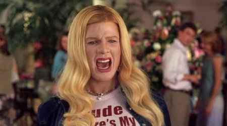 ����� ������� / White Chicks DVDRip (2004)