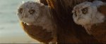 ���, ��� ����� �������� / Where the Wild Things Are DVDRip (2009)