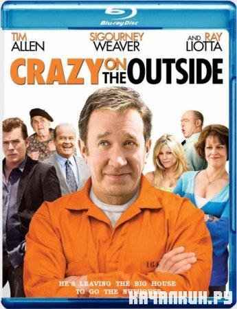    / Crazy on the Outside HDRip (2010)