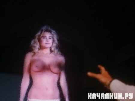 ������������� ���� / �������������