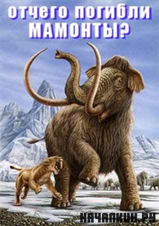   ? / What Killed The Mammoths? / 2007 / 700.22  / TVRip 