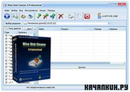 Wise Disk Cleaner Professional 5.53 Build 251