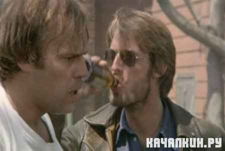 ����� � ���������� / Search and Destroy / 1979 / 1.37 �� / DVDRip