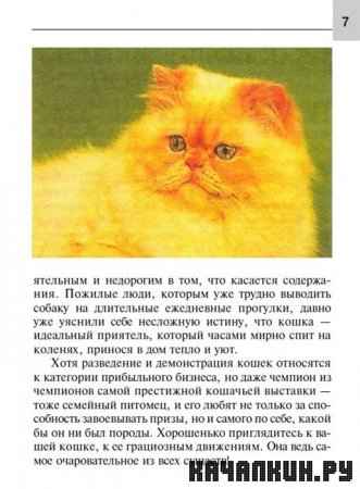 ���� ������ - �����, ����������������