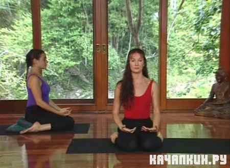          / Learn Yoga with Louisa Sear & Rachel Zinman / 2005 / 700  / DVDRip