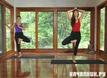          / Learn Yoga with Louisa Sear & Rachel Zinman / 2005 / 700  / DVDRip