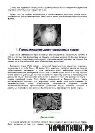 ���������� - �������������� �����