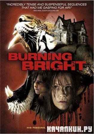   / Burning Bright (2010/DVDRip/1400Mb)