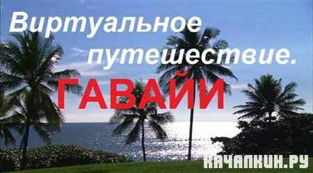 ����������� �����������: ������ / Virtual Trip: Hawaii (2008 / 697.33 �� / DVDRip)