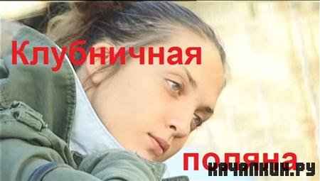 ���������� ������ (2010 / 1.37 �� / DVDRip)