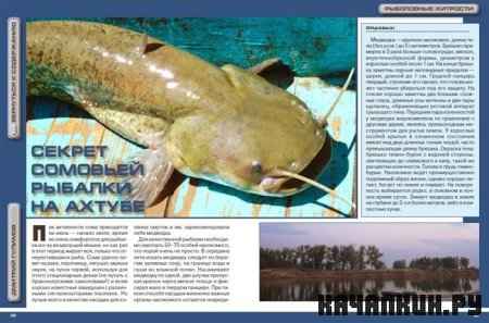 ������� ������� / �������� / 2010 (EXE/PDF)