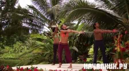 ������ � ���� � ����� / Dance and Be Fit (2008 / 548.58 �� / DVDRip)