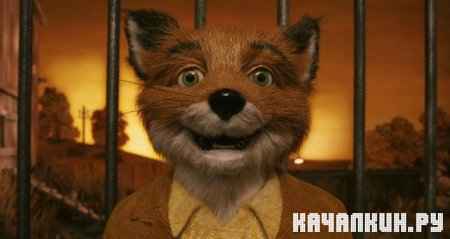    / Fantastic Mr. Fox (2009 / 1.37  / DVDRip)