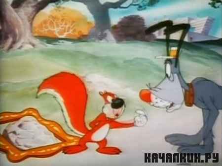   -   / Screwball Squirrel (1944 / 305.33  / DVDRip)