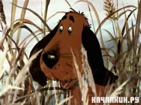 ��������� ����� (1982 / 150.76 �� / DVDRip)