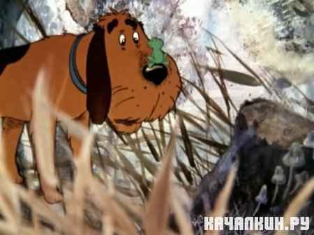 ��������� ����� (1982 / 150.76 �� / DVDRip)