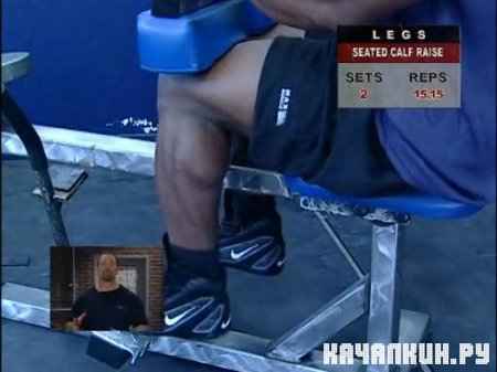 ������. ��� ��������� �������� ����� � ���� / Muscle & Fitness Training System (2006 / 298,25 �� / DVDRip)