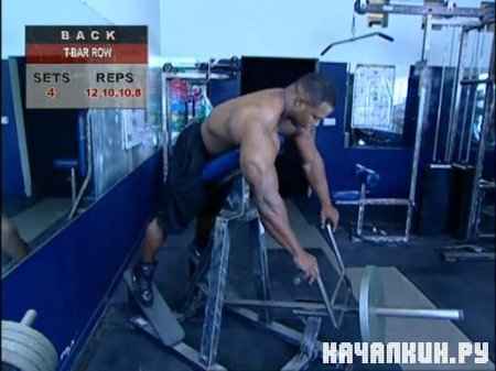 ������. ��� ��������� �������� ����� � ���� / Muscle & Fitness Training System (2006 / 298,25 �� / DVDRip)