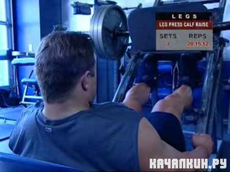 ������. ��� ��������� �������� ����� � ���� / Muscle & Fitness Training System (2006 / 298,25 �� / DVDRip)