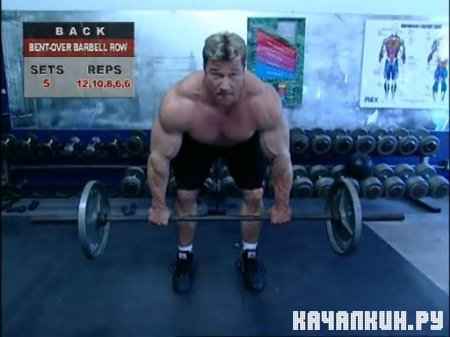 ������. ��� ��������� �������� ����� � ���� / Muscle & Fitness Training System (2006 / 298,25 �� / DVDRip)