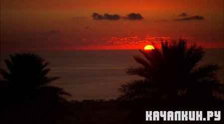 ����������� �����������: ������ / Virtual Trip: Hawaii (2008 / 697.33 �� / DVDRip)