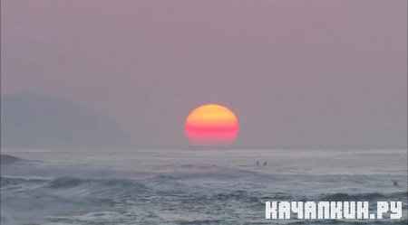 ����������� �����������: ������ / Virtual Trip: Hawaii (2008 / 697.33 �� / DVDRip)