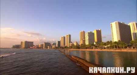 ����������� �����������: ������ / Virtual Trip: Hawaii (2008 / 697.33 �� / DVDRip)