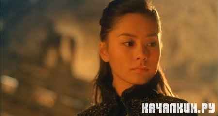 ������� �����: ������ ���� / Fa dou daai jin se (2004 / 1.37 �� / DVDRip)