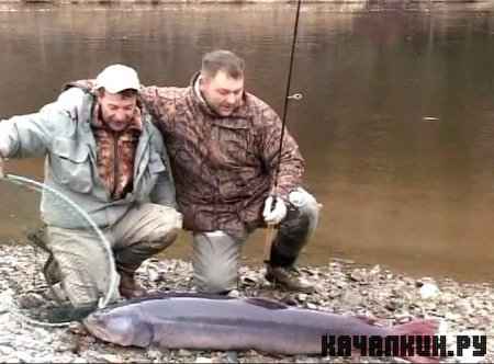���� ������� ��� ����� �������� (2009 / 1012 MB / DVDRip)