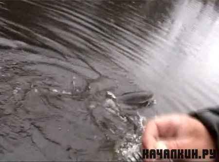 ���� ������� ��� ����� �������� (2009 / 1012 MB / DVDRip)