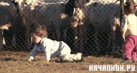 ������ / Babies (2010 / 1.45 �� / DVDRip)
