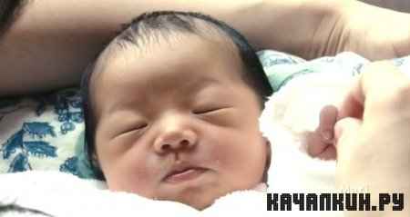 ������ / Babies (2010 / 1.45 �� / DVDRip)