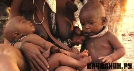 ������ / Babies (2010 / 1.45 �� / DVDRip)
