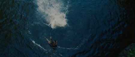 ������� / Predators (2010 / 1.37 �� / DVDRip)