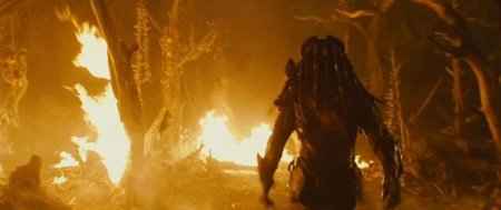 ������� / Predators (2010 / 1.37 �� / DVDRip)