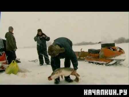 ��������� �������: ������ ������� (2008-2009 / 725 Mb / DVDRip)