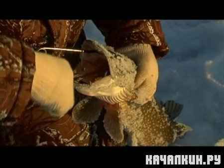 ��������� �������: ������ ������� (2008-2009 / 725 Mb / DVDRip)