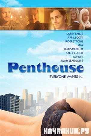  / The Penthouse (2010 / 1.40  / DVDRip)