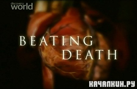    / Beating Death (2006) TVRip