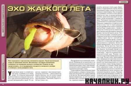 ������� ������� (�10 / 2010) (EXE/PDF)