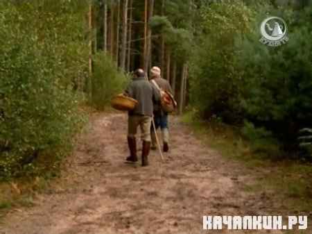 ������ ������ � ���� ����. ����� / Jamie at home. The second season (2007 / 527 Mb / SATRip)