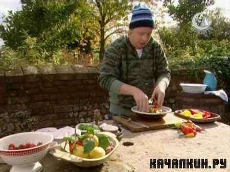 ������ ������ � ���� ����. ����� / Jamie at home. The second season (2007 / 479 Mb / SATRip)