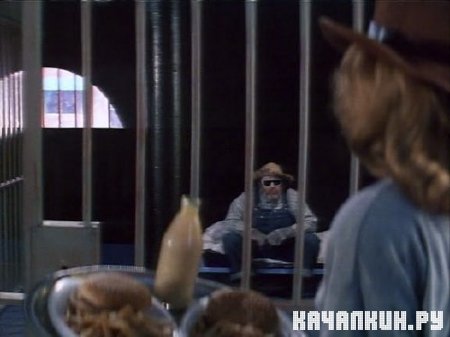 �����: ������� � �������� / Sundown: The Vampire in Retreat (1990) DVDRip