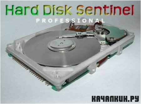 Hard Disk Sentinel Professional 3.40 Multilingual *Cracked*