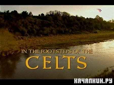 По следам кельтов / In the footsteps of the celts (2003 / SATRip)