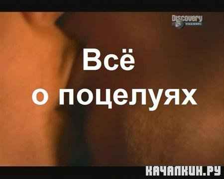 Discovery:    / Discovery: Sex Sense - The Kiss (2008 / TVRip)