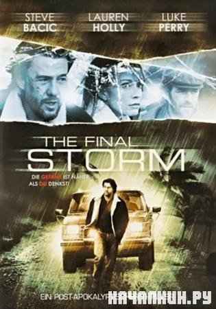   / Final Storm (2010 / HDRip)