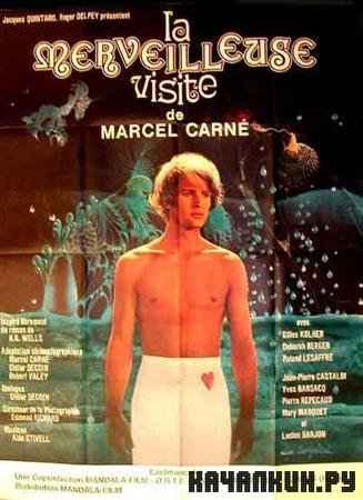   / La Merveilleuse Visite (1974 / DVDRip)