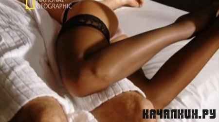 ����: ����������� / Taboo: Prostitution (2010 / SATRip)